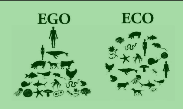 ego-eco-1.png