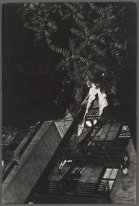 Fire escapes & Ailanthus, NYC. (Digital Collections - The New York Public Library)