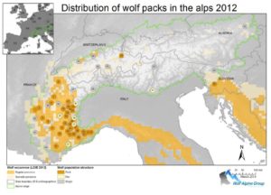 Distribution of wolf packs in the alps (2012)